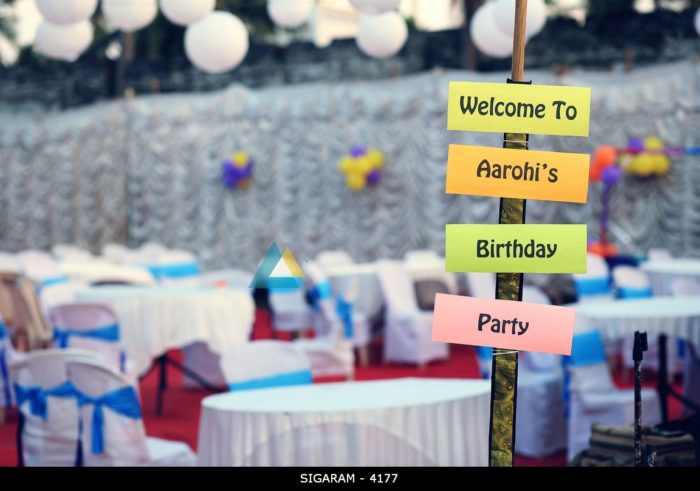 Outdoor Birthday Party Decorations in Pondicherry Anumanthai (13)